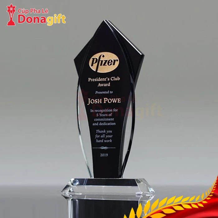 Cúp pha lê kỷ niệm 5 năm đồng hành