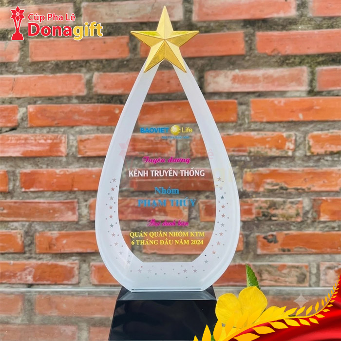 Cúp Pha Lê Tinh Tú Tỏa Sáng